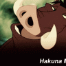 hakuna-matata