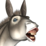 HungryDonkey