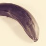 Big Black Banana