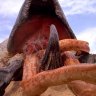 graboid36