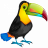 TabooTucan