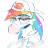 EverlastingDashie